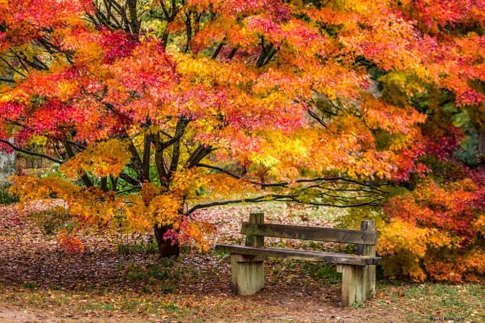 20 lieux incontournables à visiter au Royaume-Uni à l automne