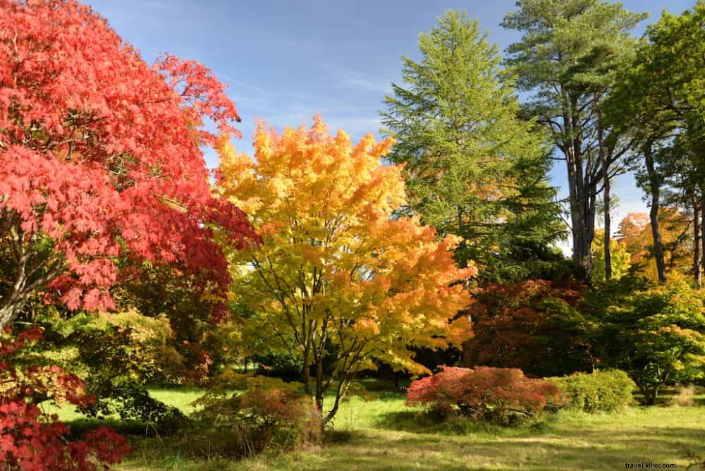 20 lieux incontournables à visiter au Royaume-Uni à l automne