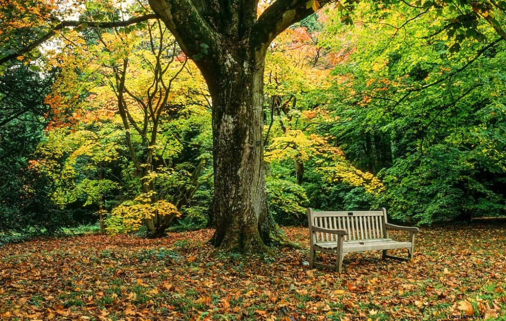 20 lieux incontournables à visiter au Royaume-Uni à l automne