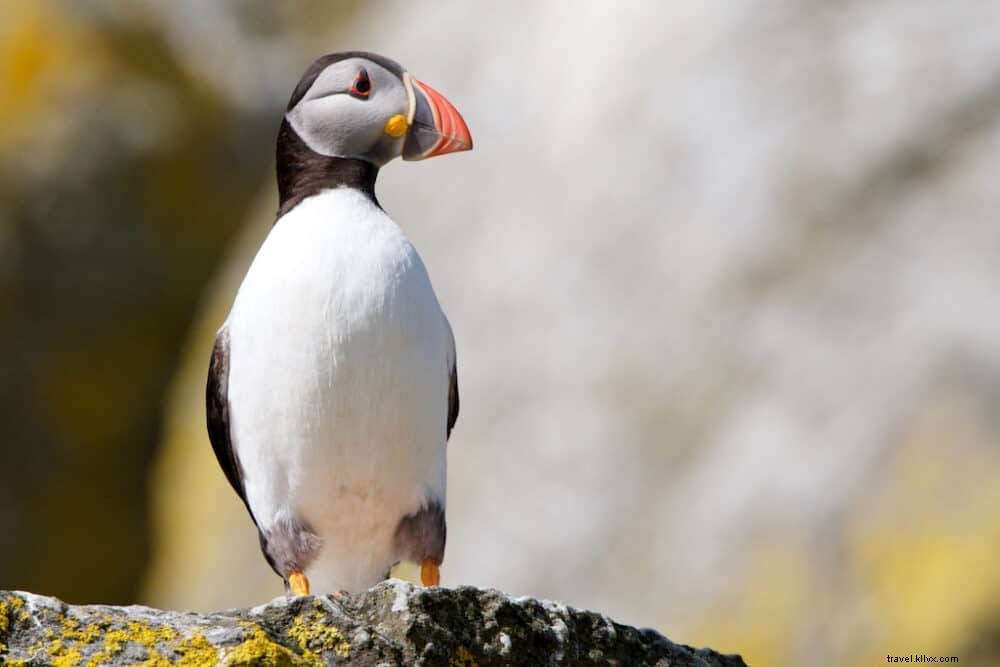 Top 10 des plus beaux sites à explorer dans les Hébrides extérieures