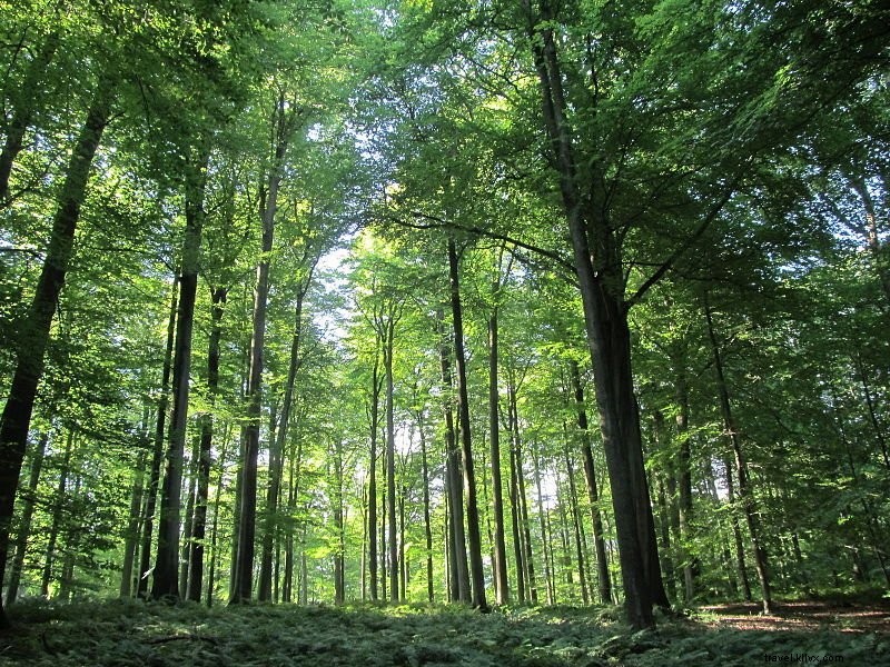 20 des plus beaux endroits à visiter en Belgique