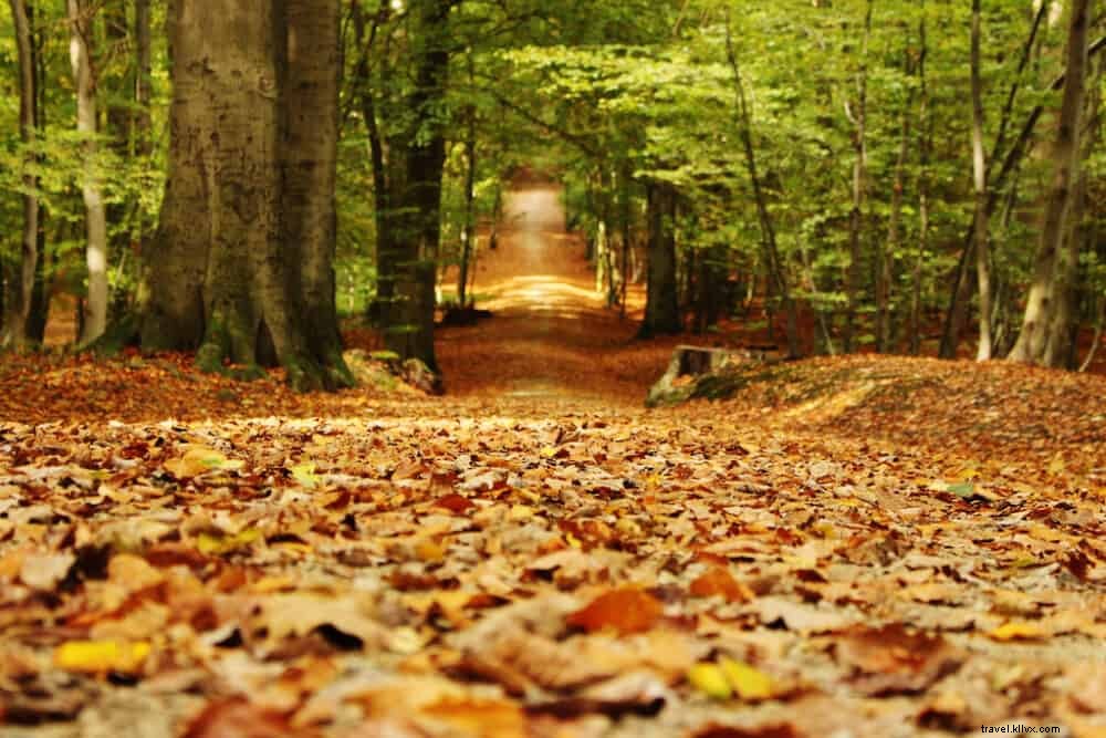 20 des plus beaux endroits à visiter en Belgique