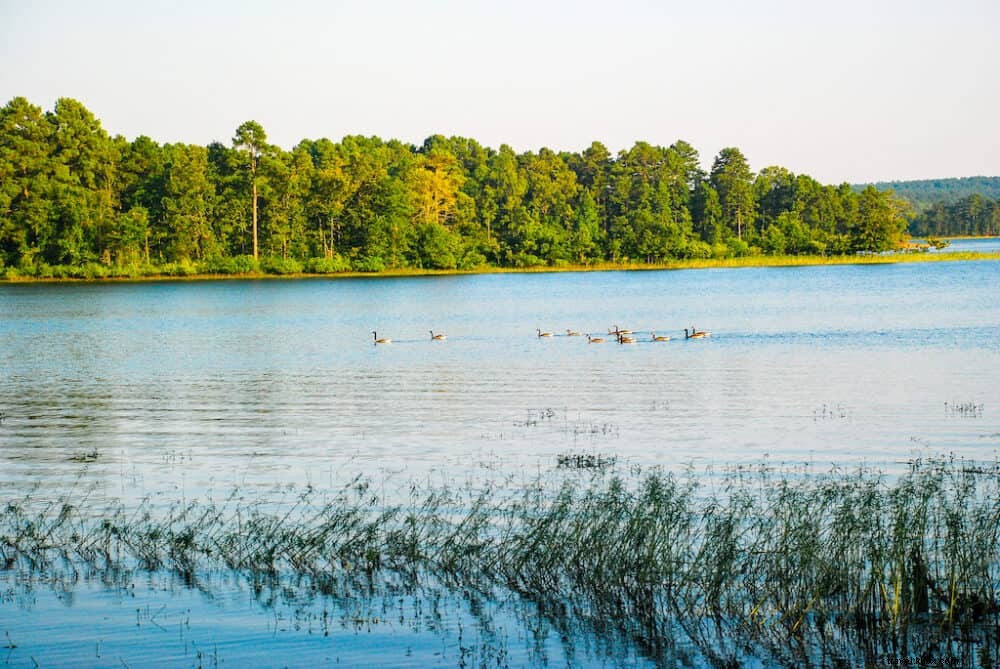 Les 15 plus beaux sites à visiter en Arkansas