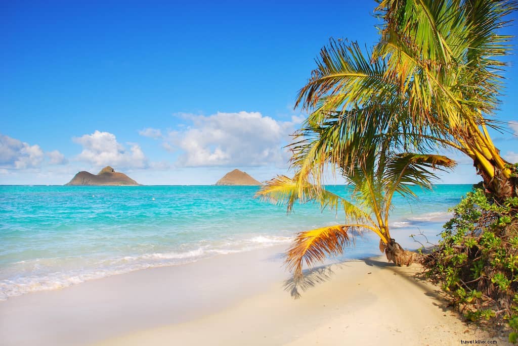 20 des plus beaux sites à découvrir à Hawaï