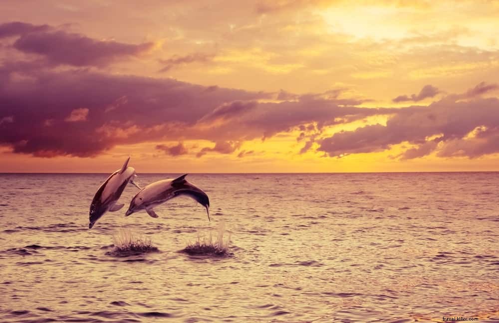 20 des plus beaux sites à découvrir à Hawaï