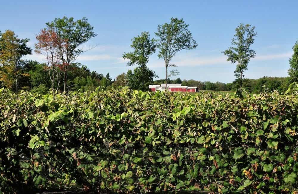 18 des plus beaux sites à découvrir dans le Connecticut