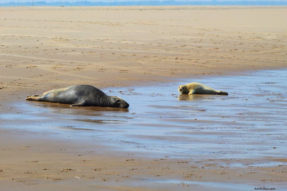 15 magnifiques sites à découvrir dans le Lincolnshire