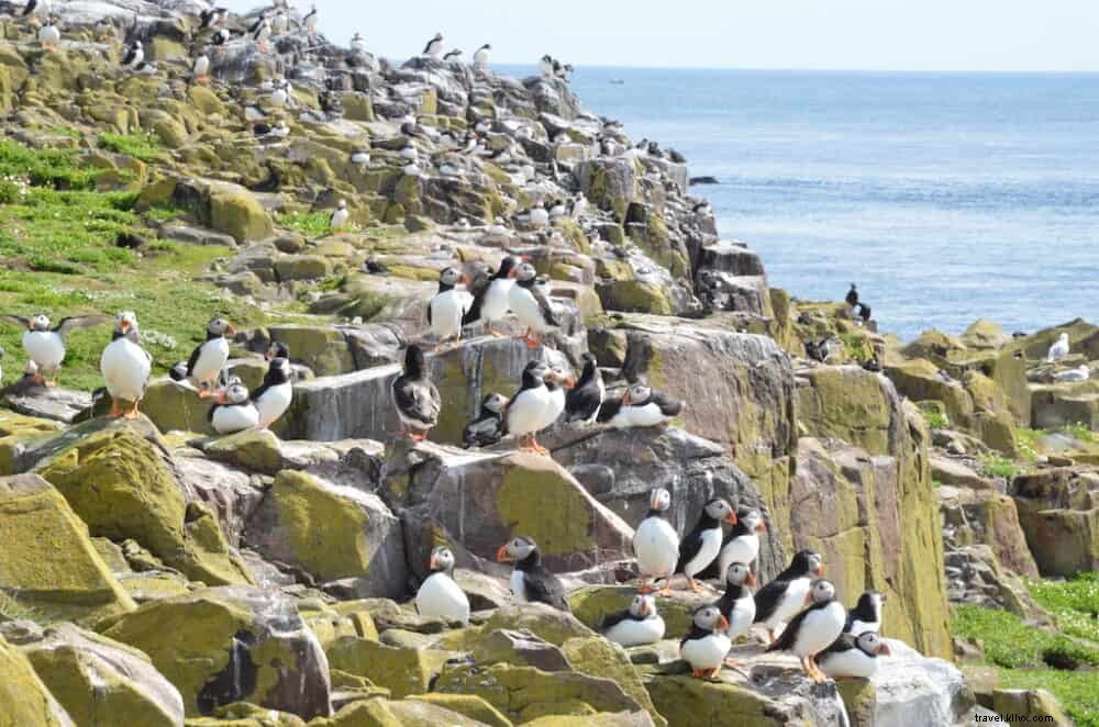 16 lieux incontournables à découvrir dans le Northumberland