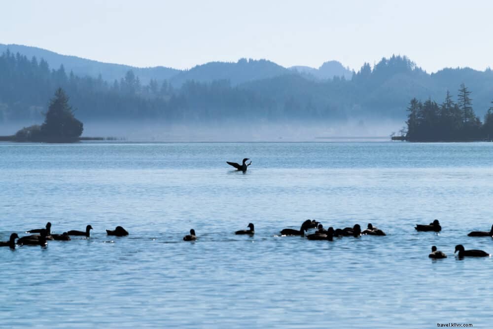 Les 20 plus beaux sites à explorer en Oregon
