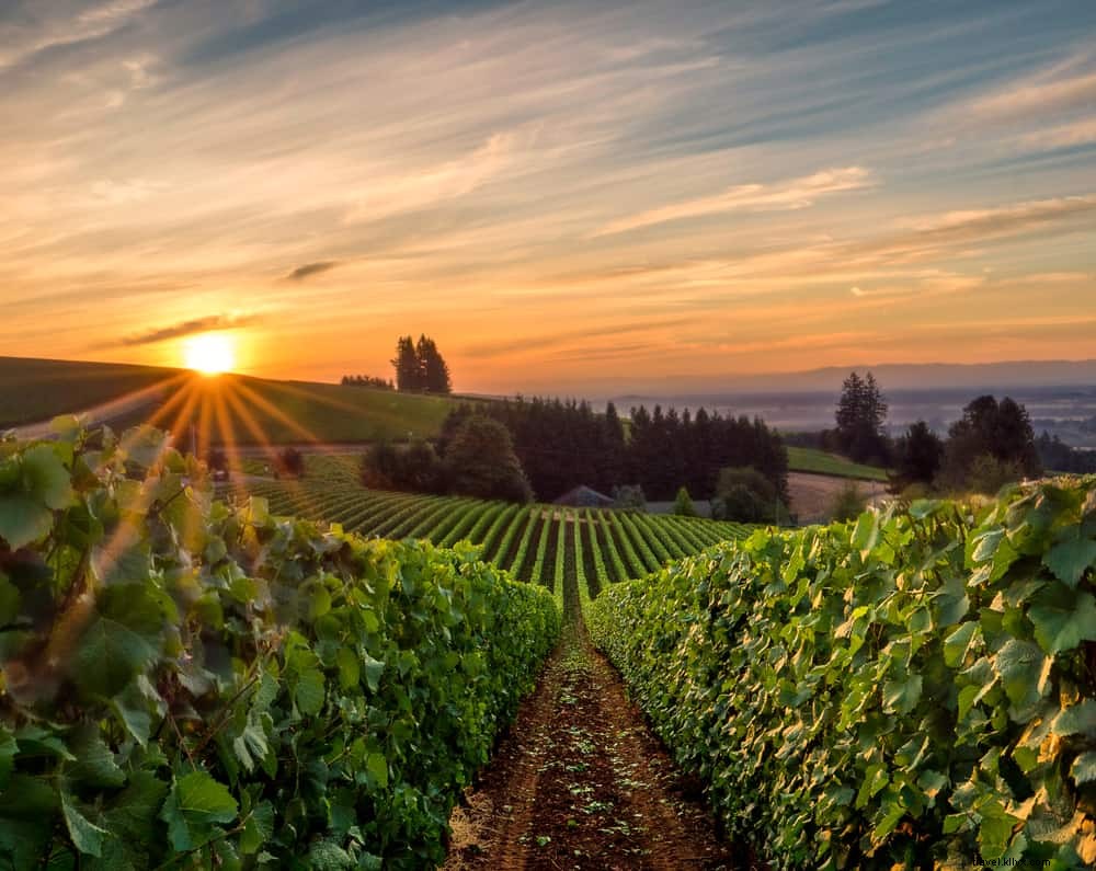 Les 20 plus beaux sites à explorer en Oregon