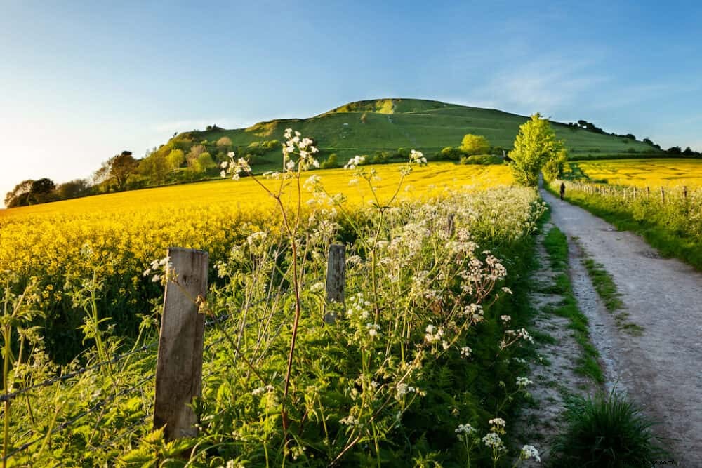 Les 15 plus beaux sites à découvrir dans le Wiltshire