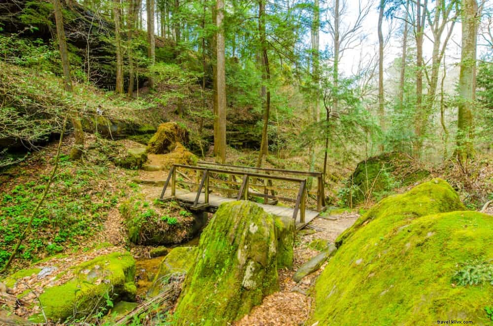 Les 15 plus beaux sites à découvrir en Alabama