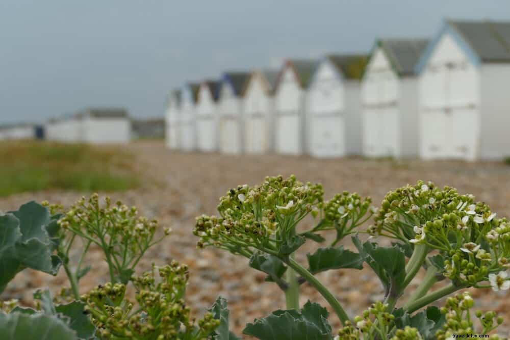 Top 15 des plus beaux endroits à visiter dans le West Sussex