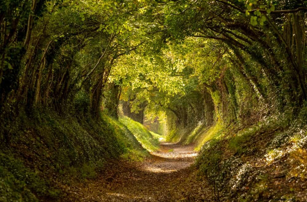 Top 15 des plus beaux endroits à visiter dans le West Sussex