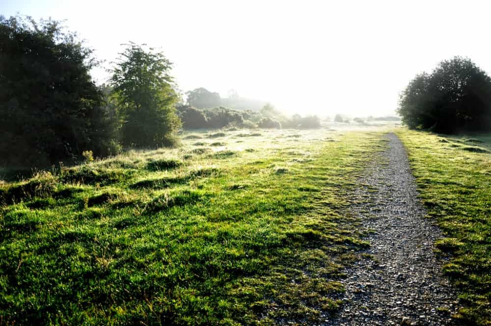 Les 17 meilleurs sites à découvrir dans le Berkshire