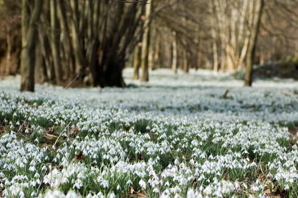 Les 17 meilleurs sites à découvrir dans le Berkshire