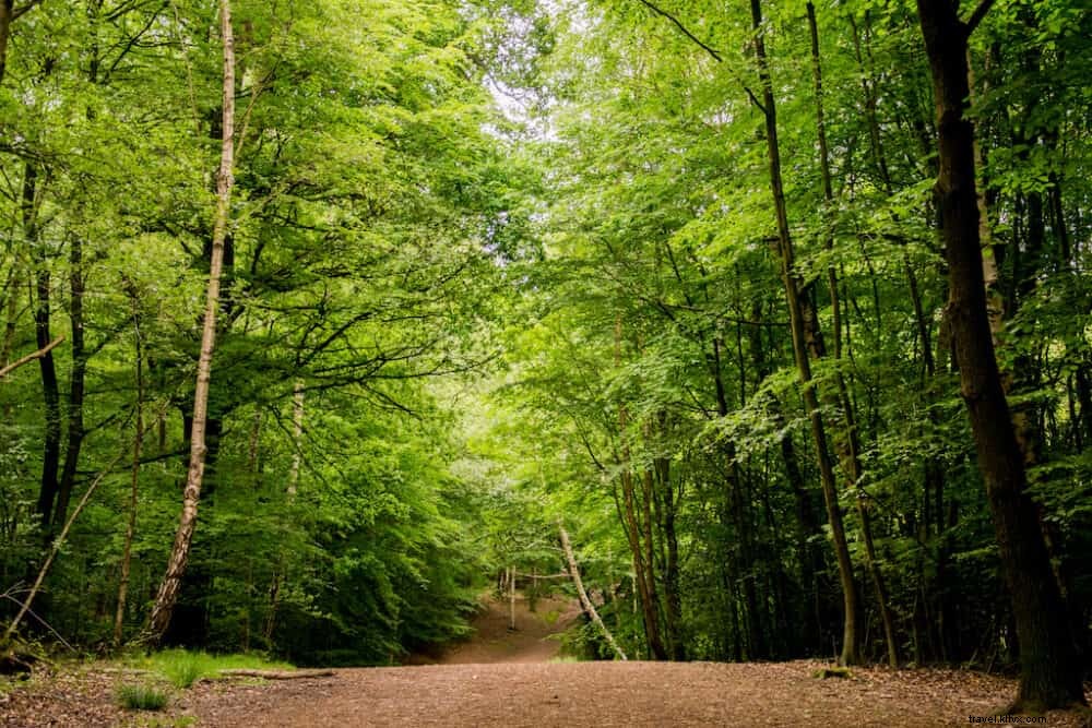 Les 15 plus beaux sites à découvrir en Essex