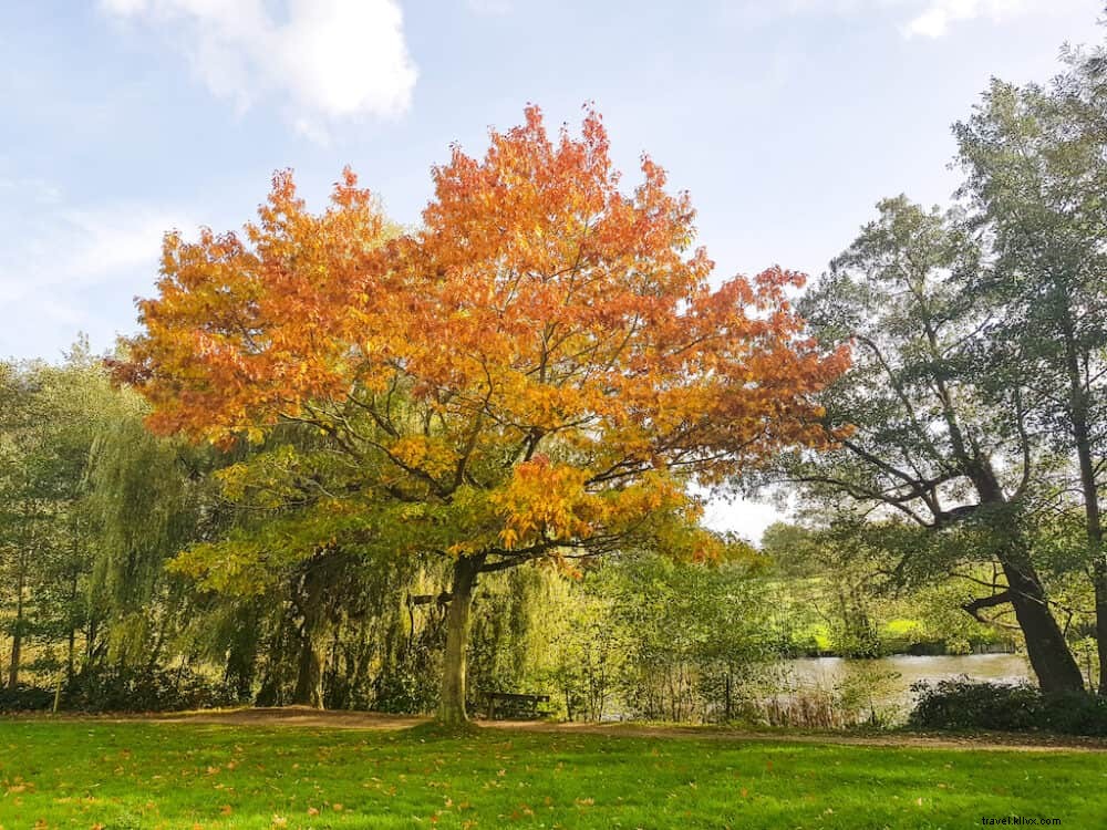 Les 15 plus beaux sites à découvrir en Essex