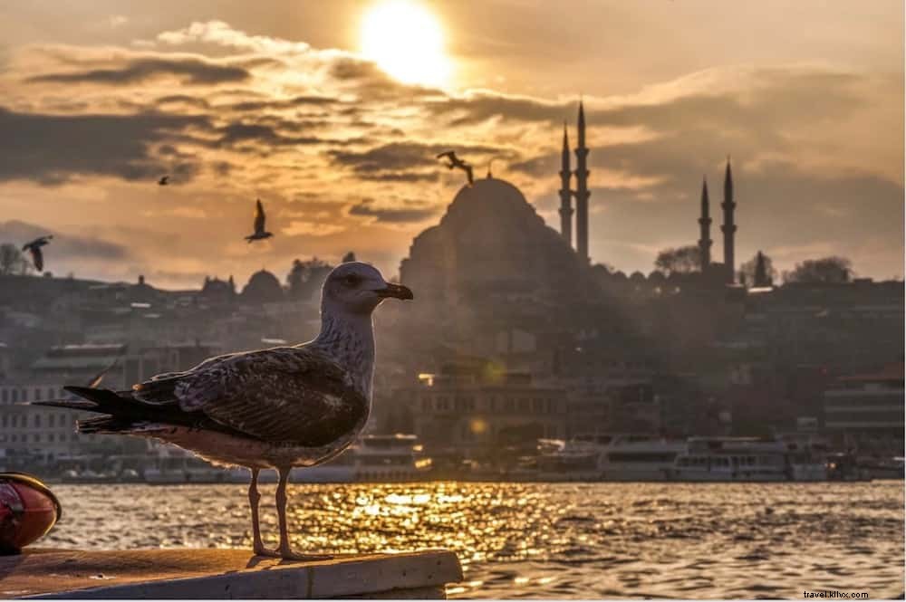 Les 21 plus beaux sites à découvrir en Turquie