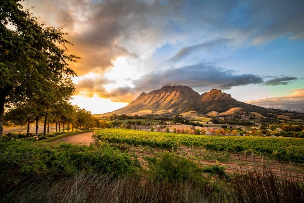 24 des plus beaux sites à découvrir en Afrique du Sud