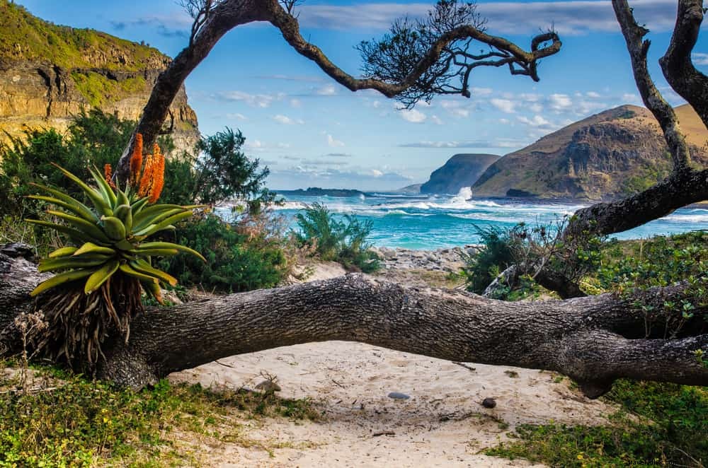 24 des plus beaux sites à découvrir en Afrique du Sud