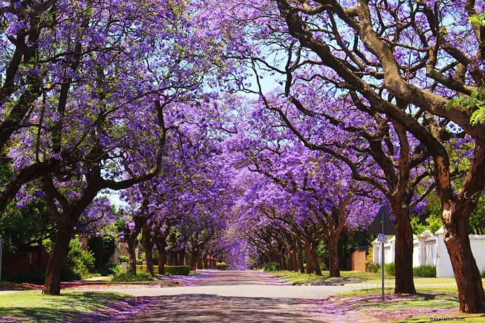 24 des plus beaux sites à découvrir en Afrique du Sud