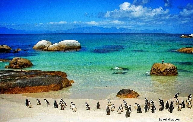 24 des plus beaux sites à découvrir en Afrique du Sud