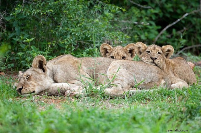 24 des plus beaux sites à découvrir en Afrique du Sud