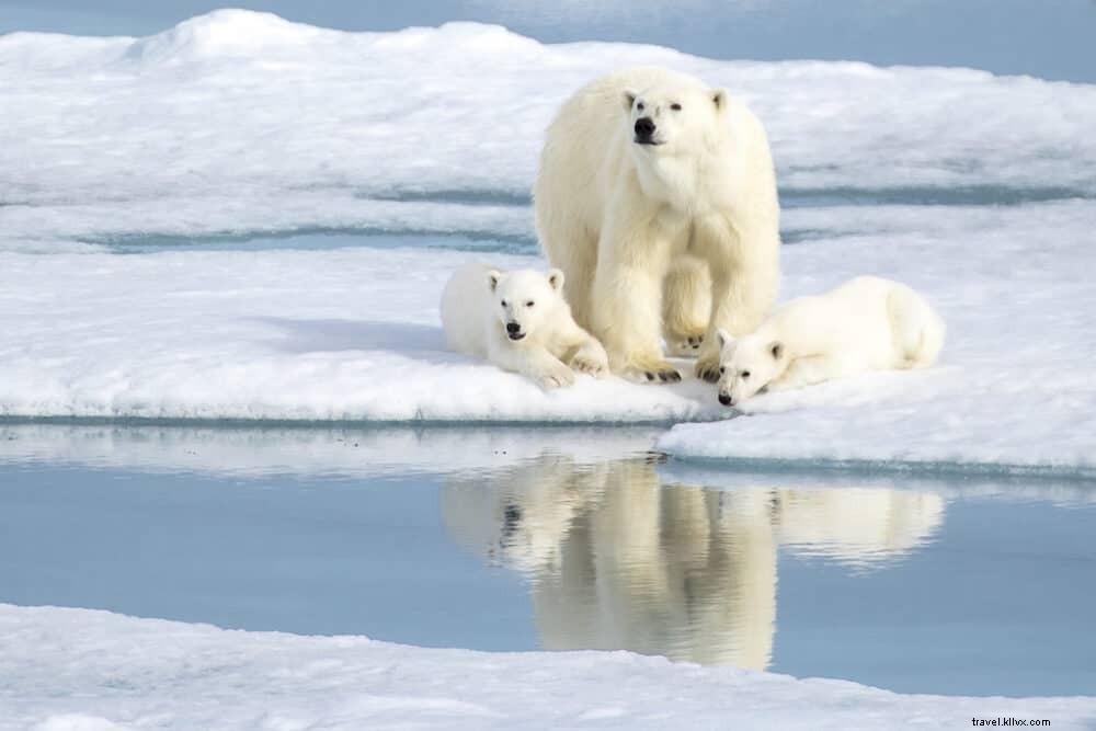 20 des plus beaux sites à découvrir en Norvège