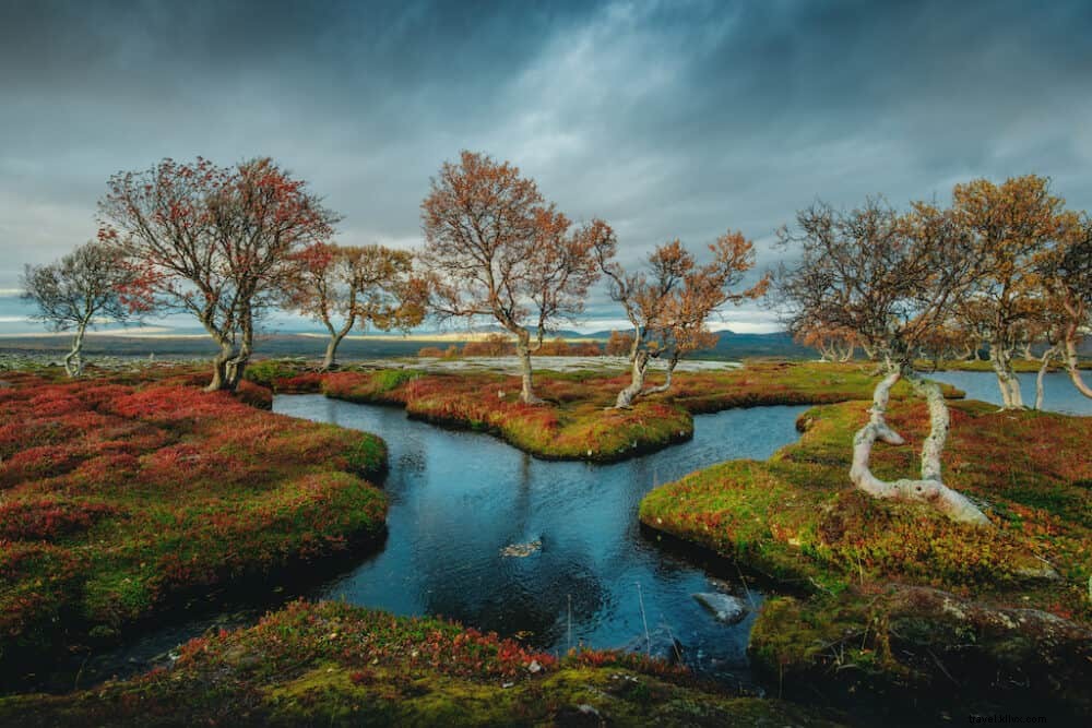 20 des plus beaux sites à découvrir en Norvège