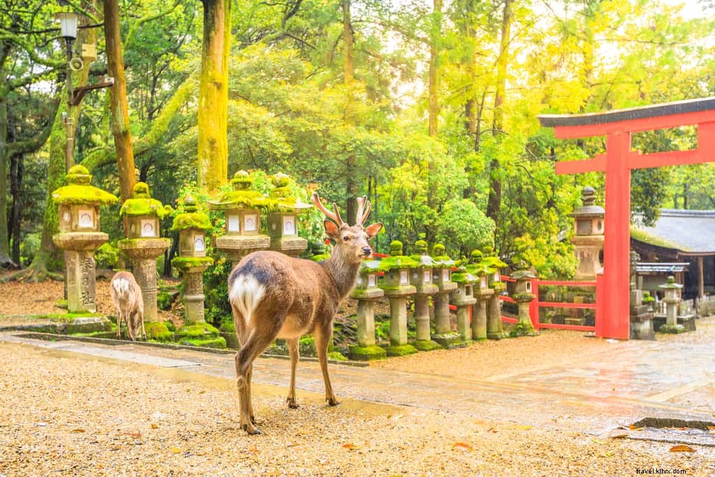 15 des plus beaux sites à découvrir au Japon