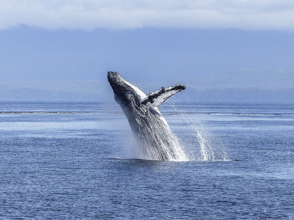 12 des plus belles escapades nature