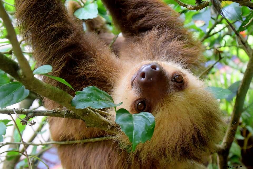 12 des plus belles escapades nature