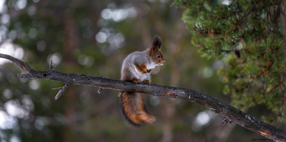 12 des plus belles escapades nature