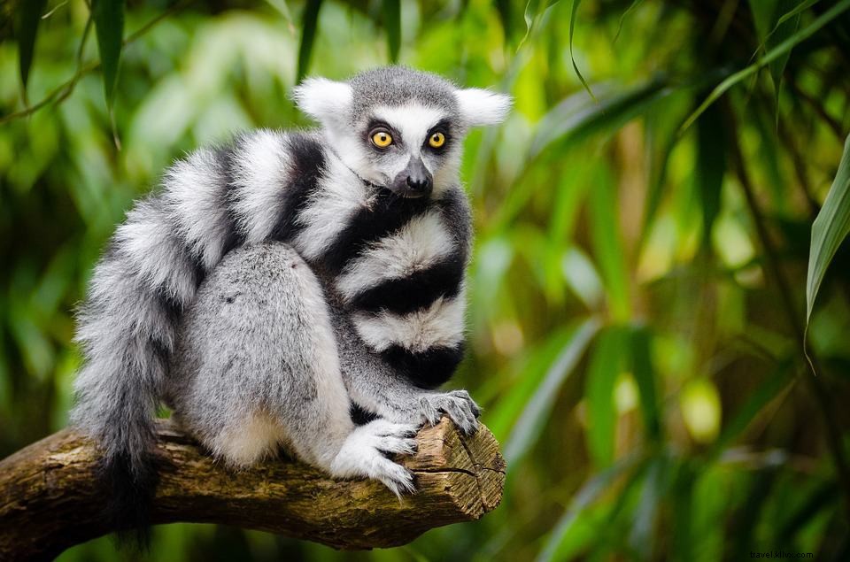 12 des plus belles escapades nature