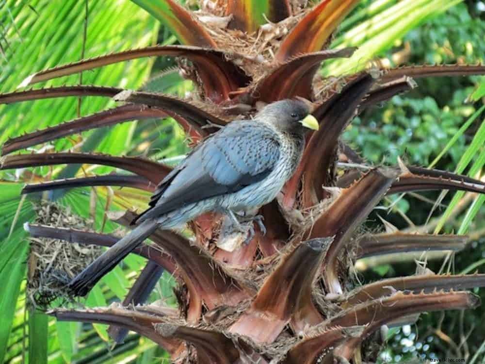 12 des plus belles escapades nature