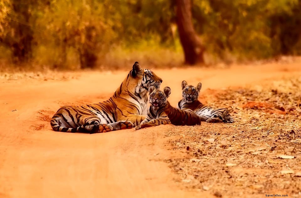 12 des plus belles escapades nature