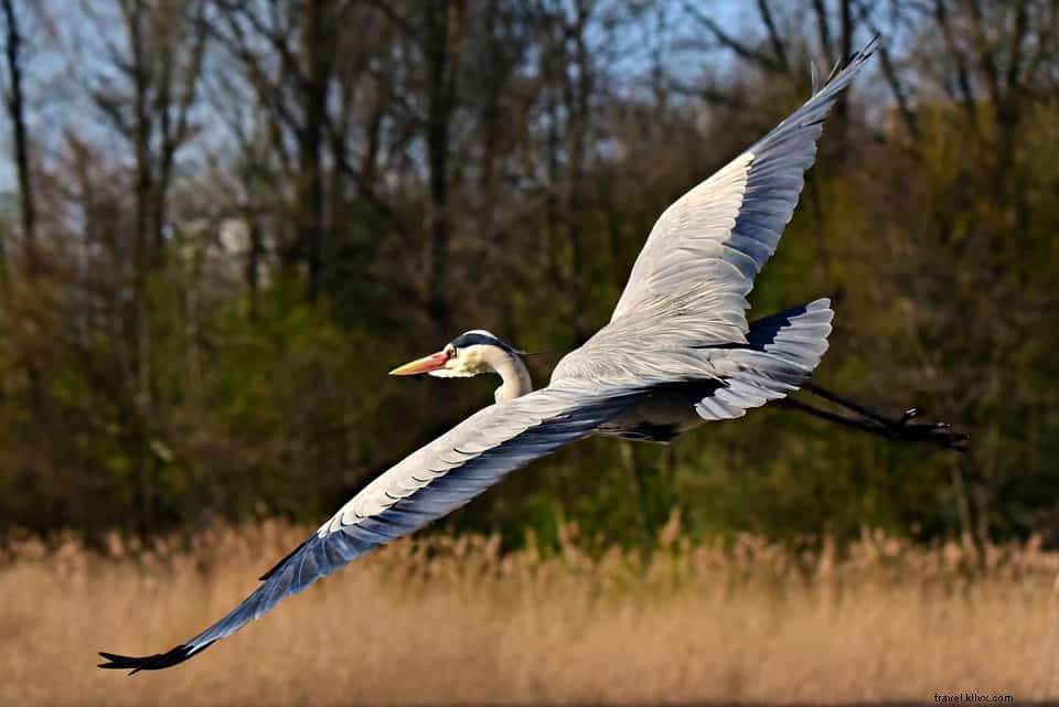 12 des plus belles escapades nature