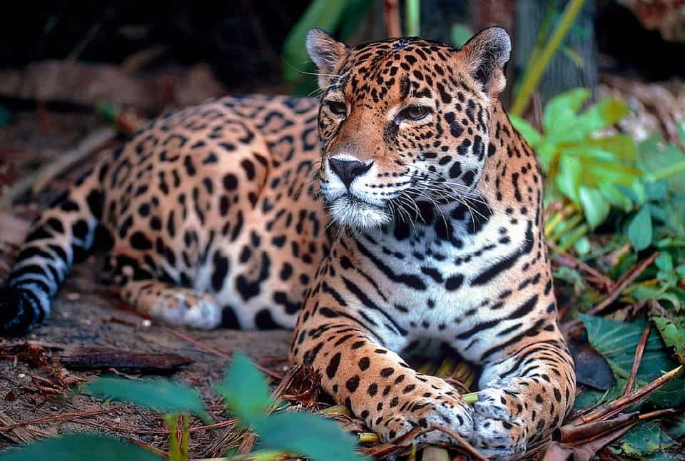 12 des plus belles escapades nature