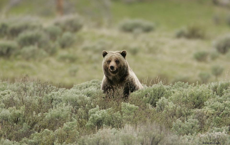 12 des plus belles escapades nature