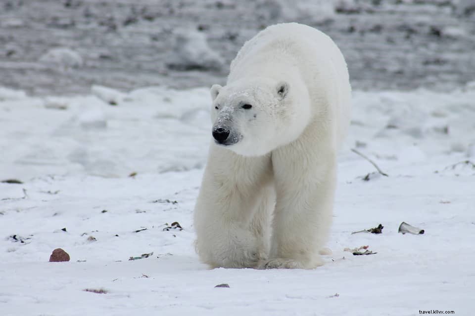 12 des plus belles escapades nature