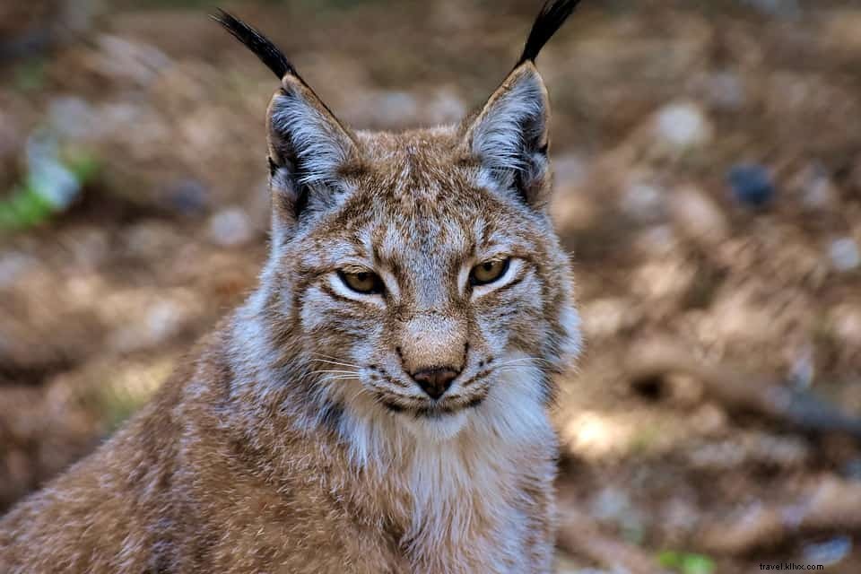 12 des plus belles escapades nature