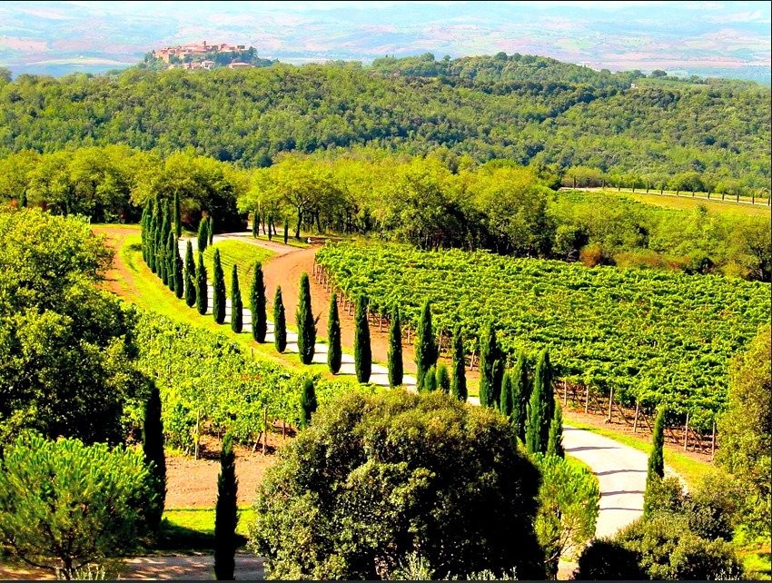 8 des plus belles caves à visiter en Toscane
