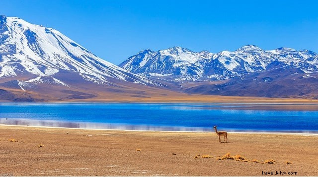 Les 10 plus beaux sites à visiter au Chili