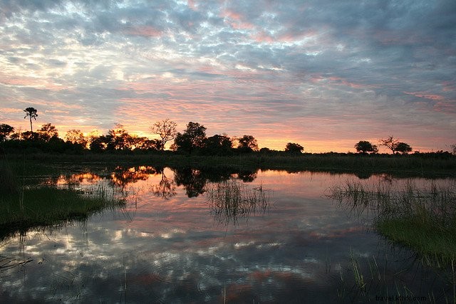 10 des plus beaux endroits à visiter au Botswana