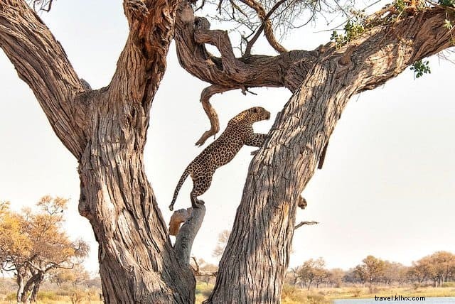 10 des plus beaux endroits à visiter au Botswana