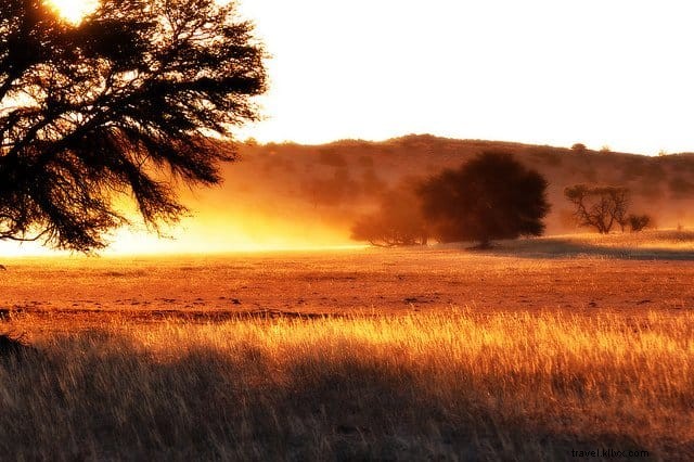 10 des plus beaux endroits à visiter au Botswana