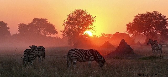 10 des plus beaux endroits à visiter au Botswana