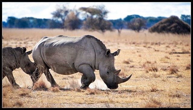 10 des plus beaux endroits à visiter au Botswana