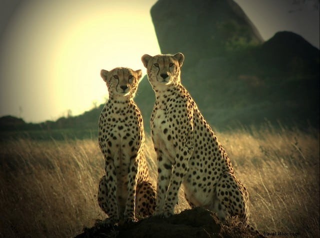 Les 10 plus beaux sites à visiter en Tanzanie